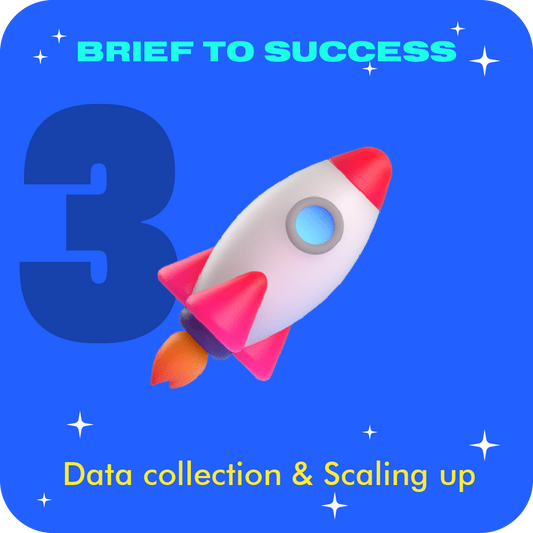 BRIEF TO SUCCESS - L3: Data & Scaling Up